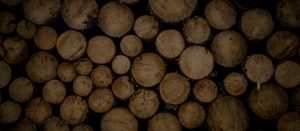 sydney wood industries SWI Timber suppliers